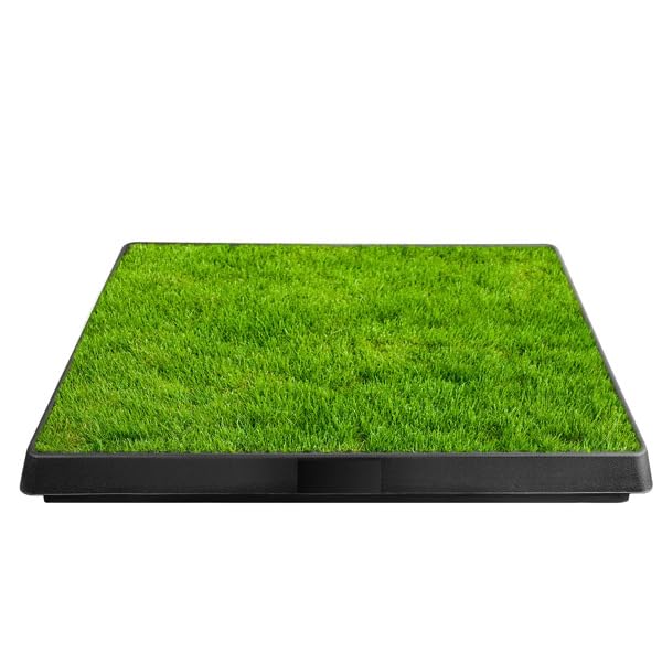 Dog Potty Tray with Artificial Grass Q620