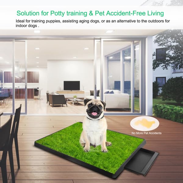 Dog Potty Tray with Artificial Grass Q620