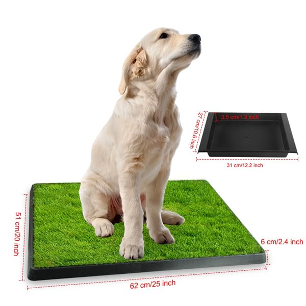 Dog Potty Tray with Artificial Grass Q620