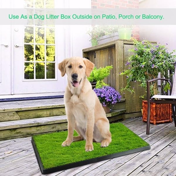 Dog Potty Tray with Artificial Grass Q620
