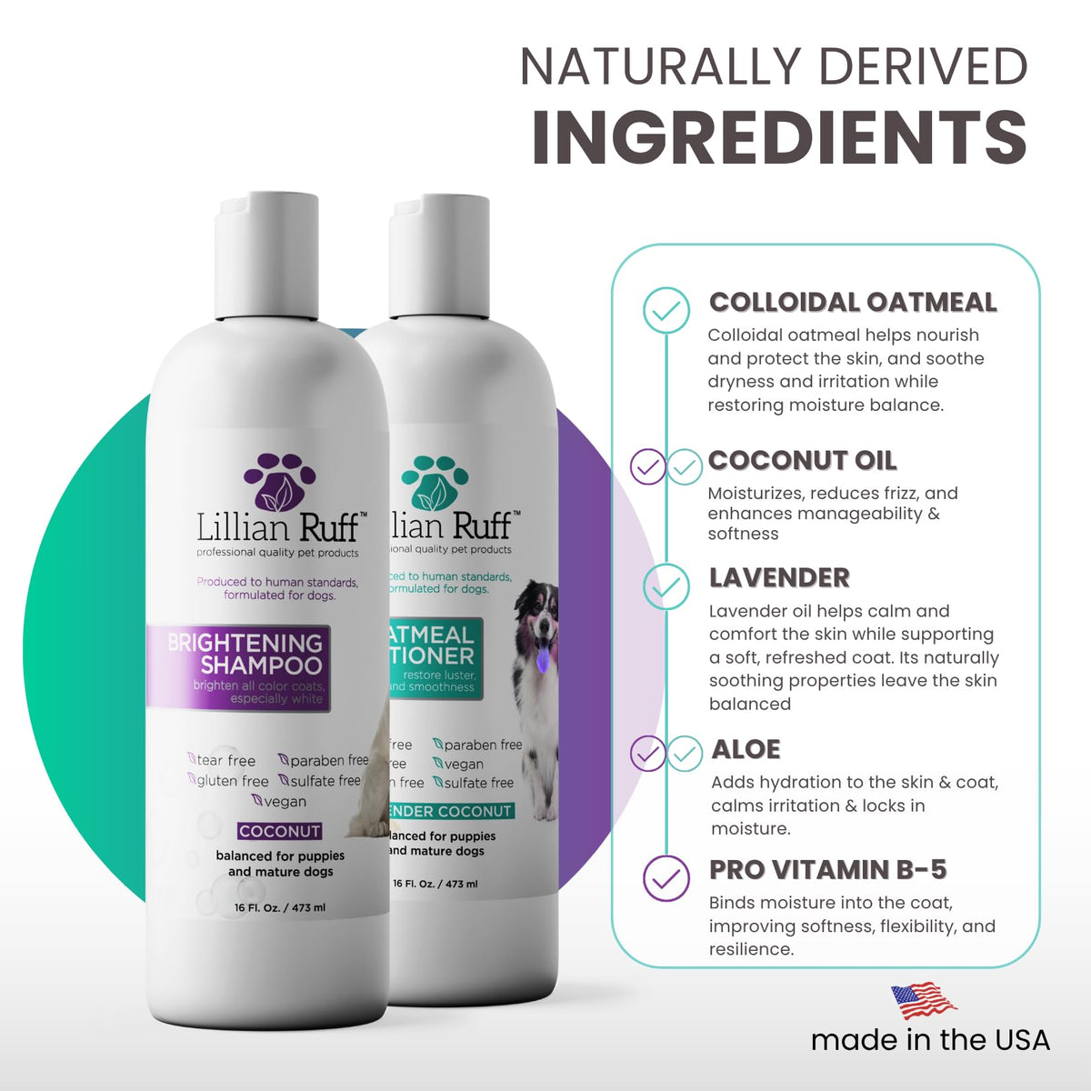 Brightening Shampoo & Oatmeal Conditioner Set for Dogs R598565