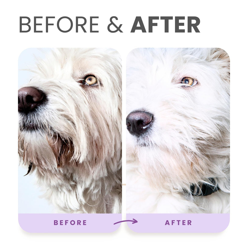 Brightening Shampoo & Oatmeal Conditioner Set for Dogs R598565