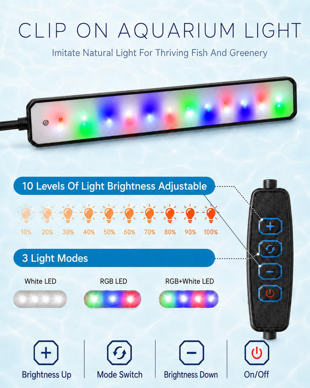 3 Gallon Acrylic Aquarium Starter Kit S39493