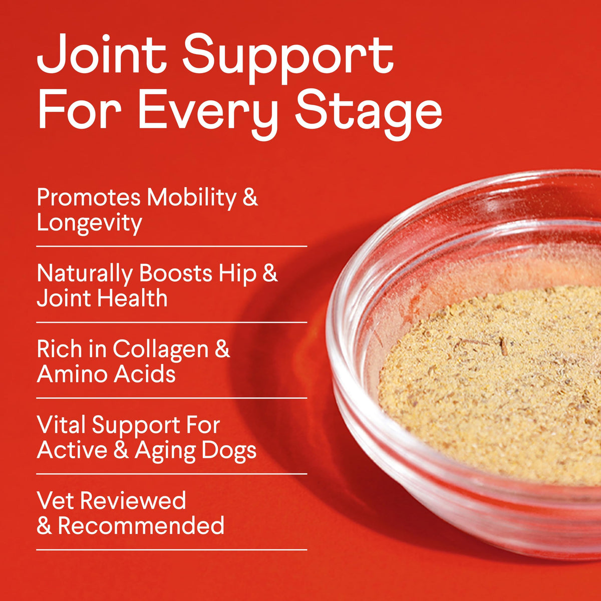 Bone Broth Plus for Dogs 8 oz H213883