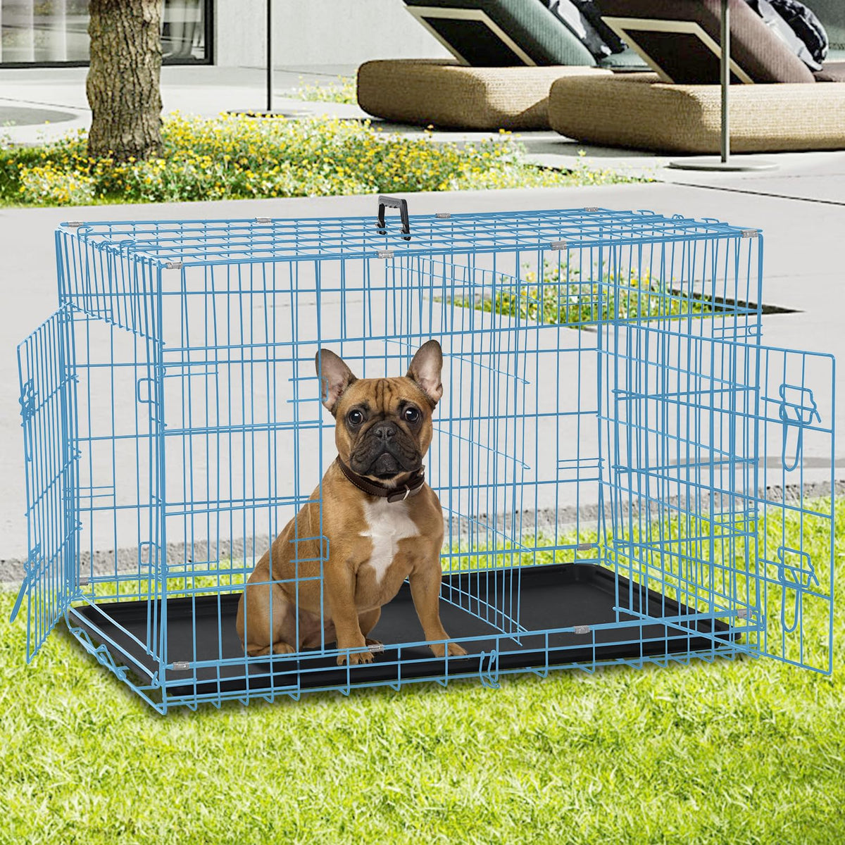 Folding Metal Dog Crate with Plastic Tray & Divider X2716
