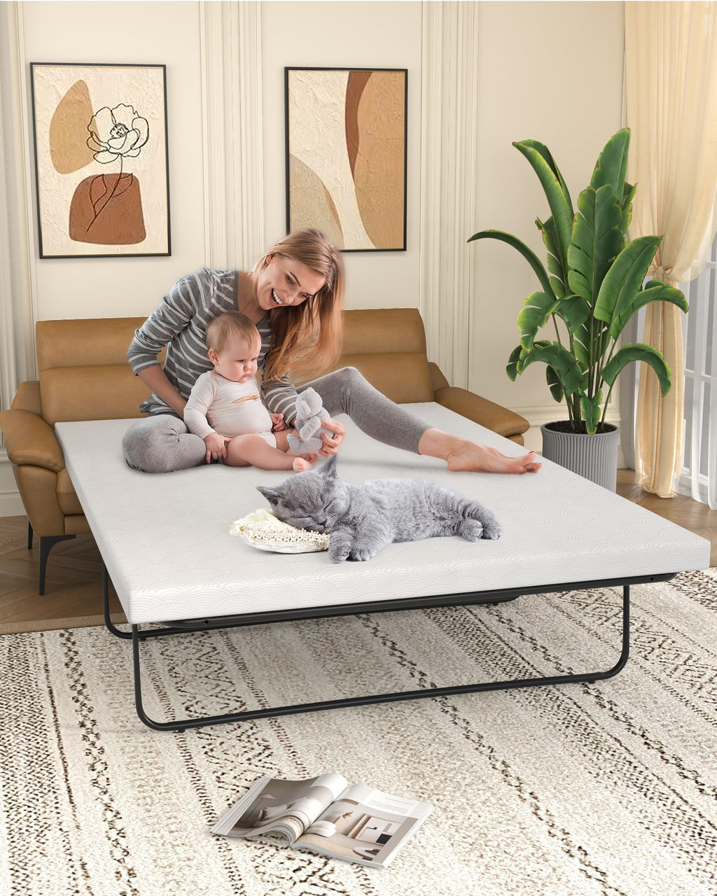 Queen Sofa Bed Mattress Replacement Beige 72"x60" D233