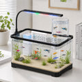 3 Gallon Acrylic Aquarium Starter Kit S39493