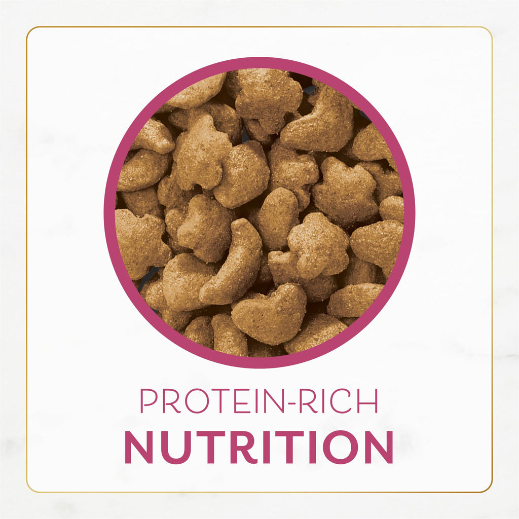 Dry Cat Food Filet Mignon Flavor 3 lb. Bag L635947