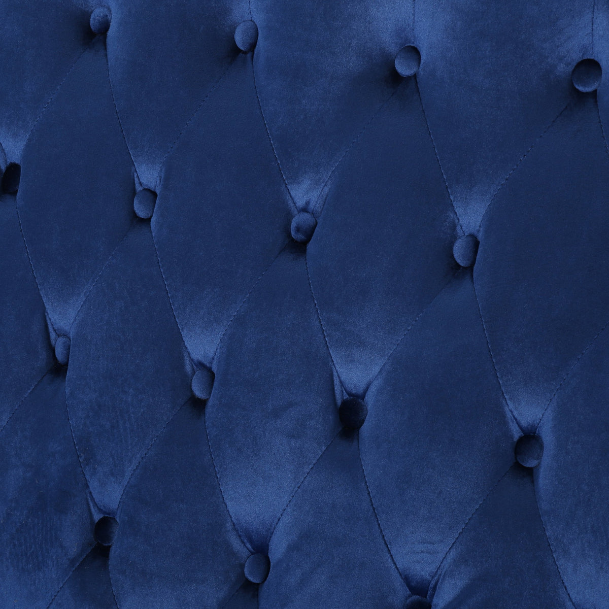 Navy Blue Tufted Velvet Wingback Loveseat W178