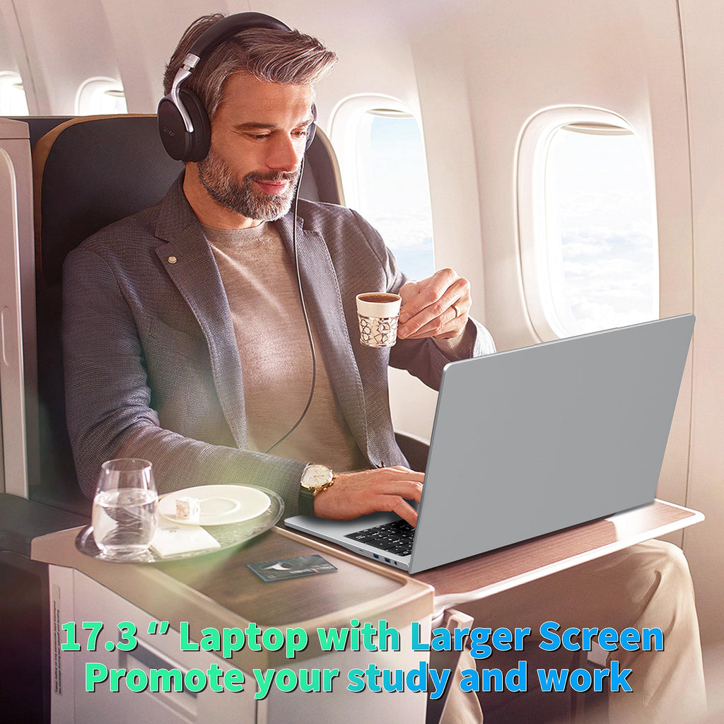 17.3" FHD IPS Business Laptop Computer, Silver L67257
