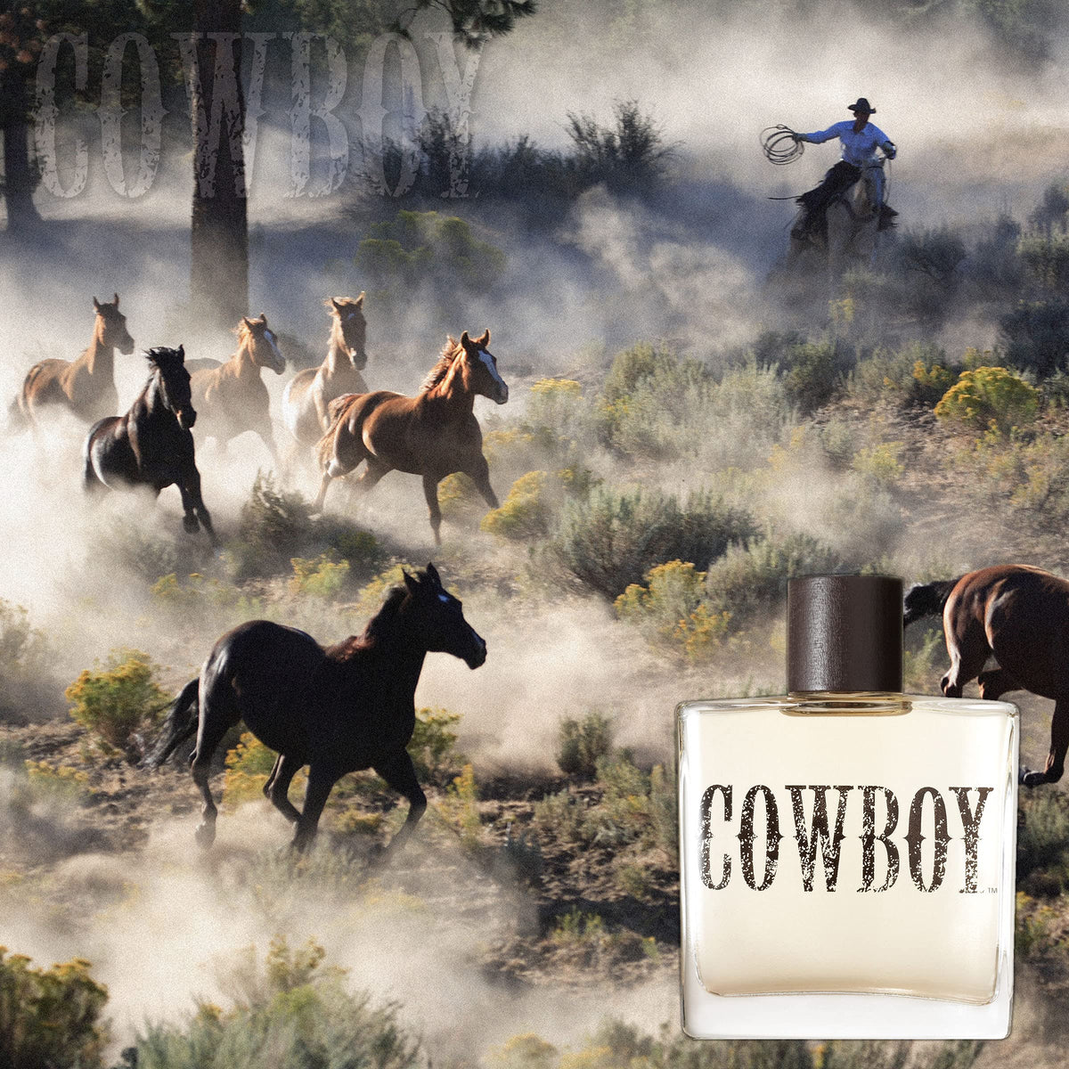 Cowboy Cologne 3.4 fl oz T527330