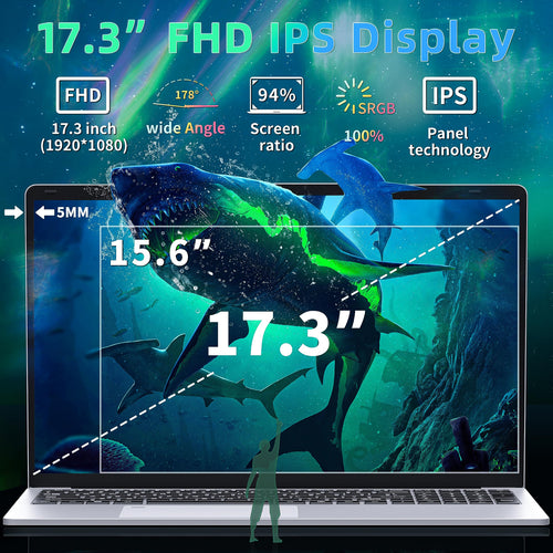 17.3" FHD IPS Business Laptop Computer, Silver L67257